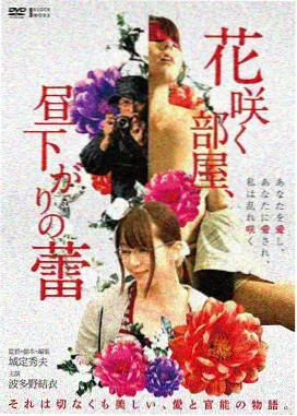 短剧节奏变化观察